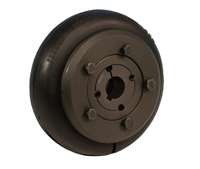 FENNER-FENAFLEX-FLYWHEEL-CPLG-ELEMENT-CHLORPRENE-101-96-(033E0101)